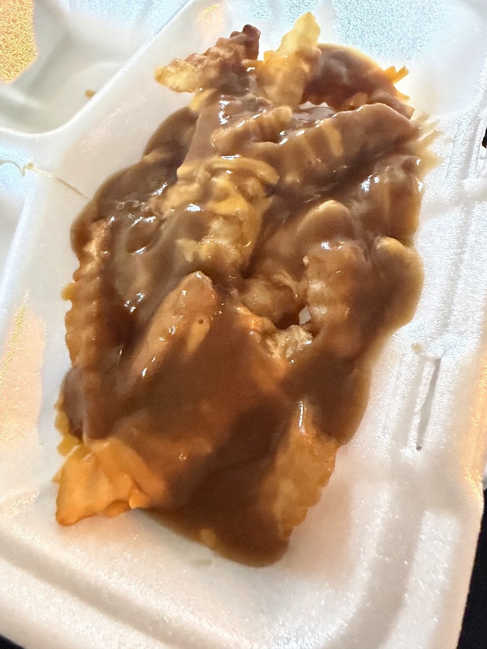 Cheese Fries with Gravy